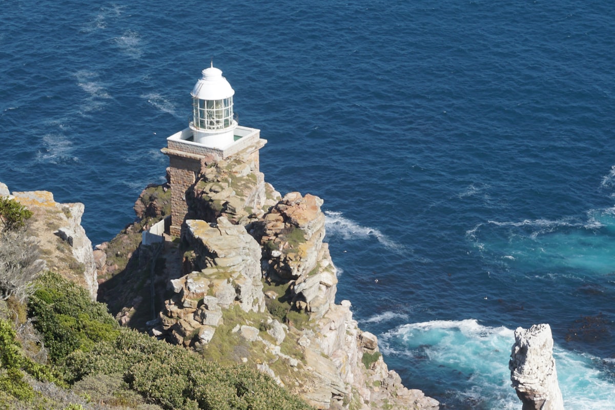 Cape Peninsula Tour